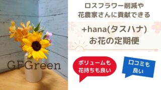 +hana(タスハナ)は「サステナブルなお花の定期便」そして品質も良い 